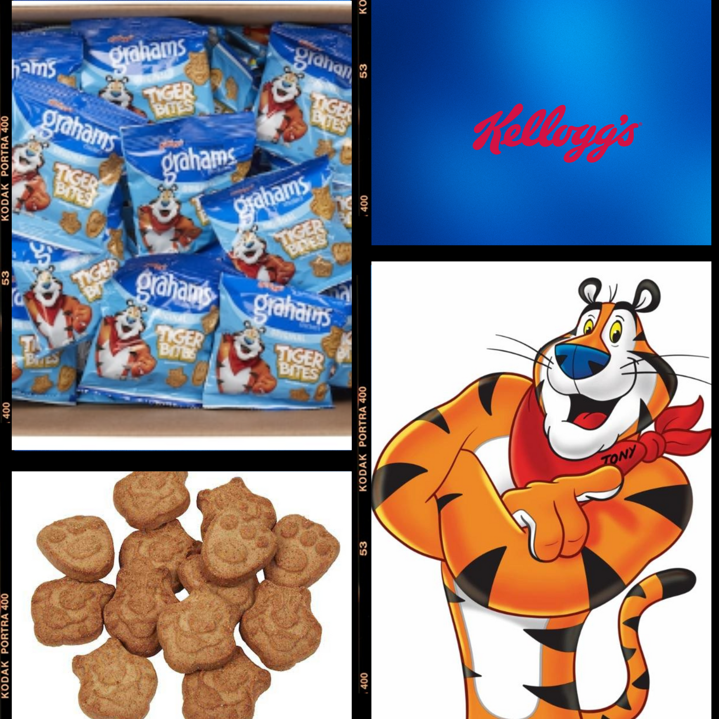 Kellogg's Tiger Bites Crackers Bulk ( 10 Pack ) count Cinnamon grahams